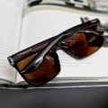 Чоловічі Polarized A0078 brown